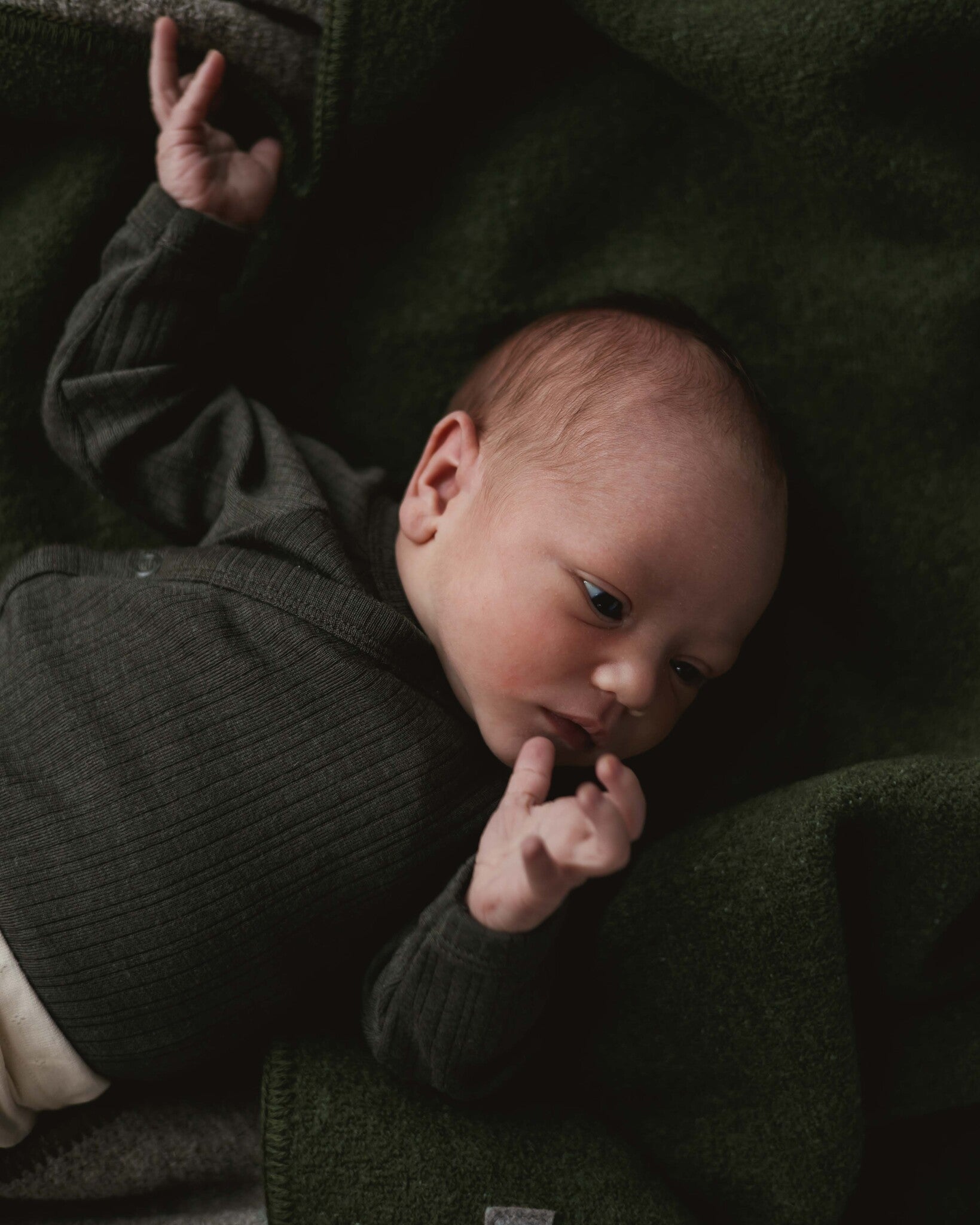 Alfie for Ziloen web-23