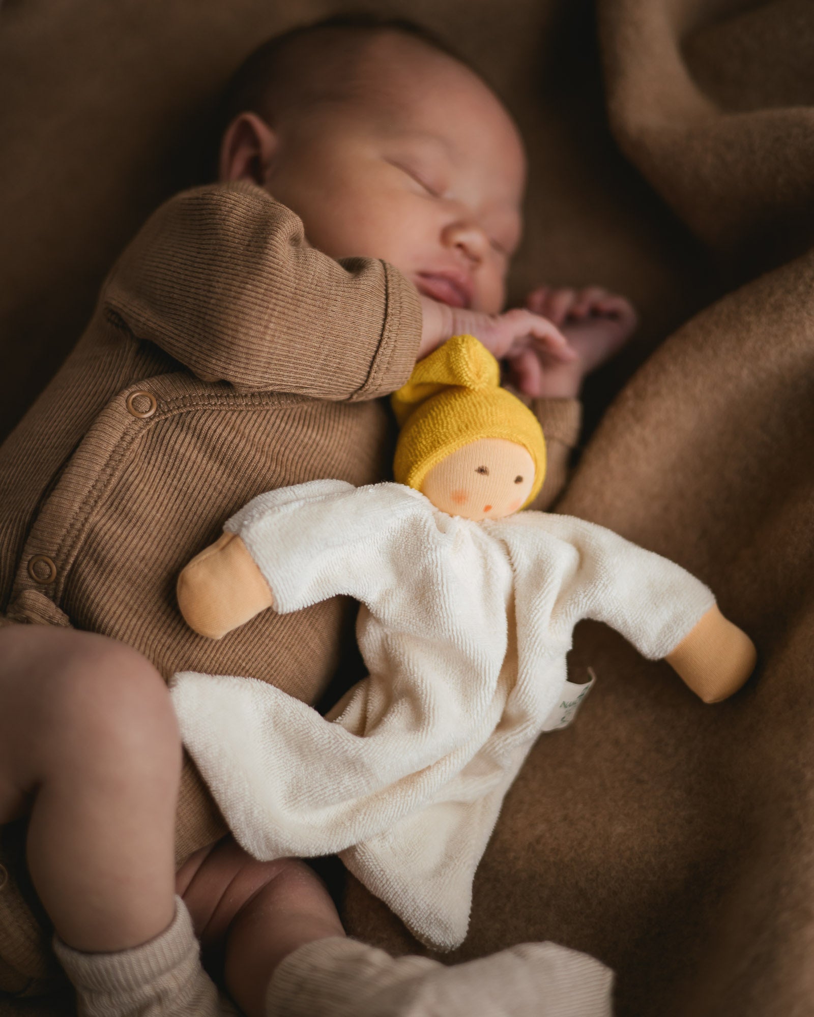 Alfie for ziloen web-56